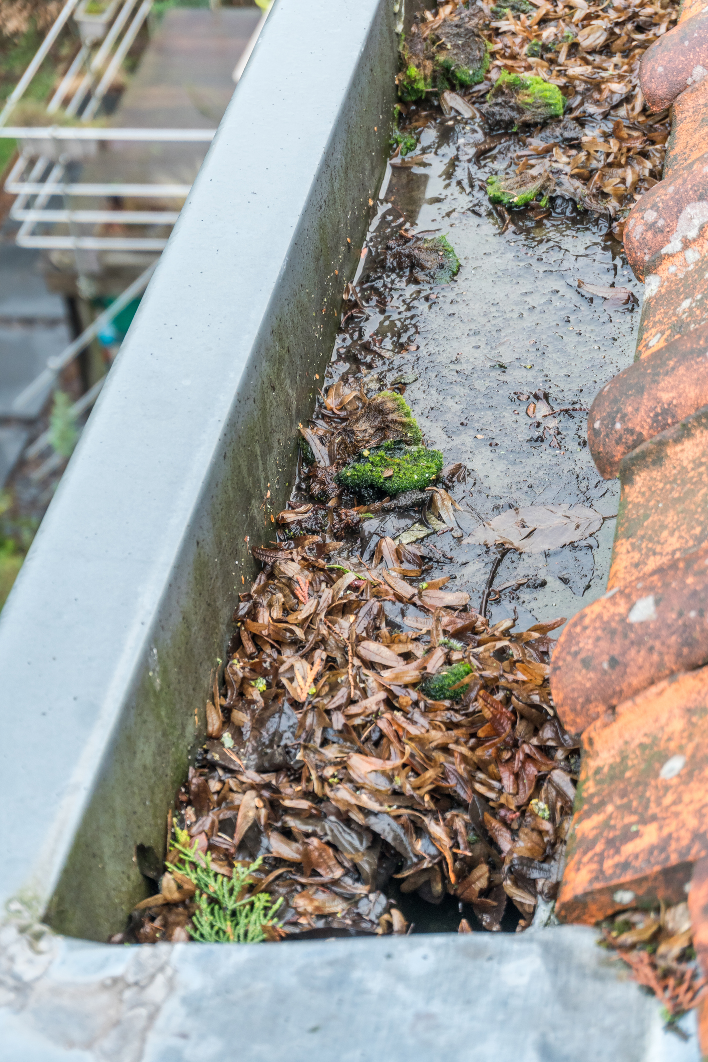 Close up of leaf, twig debris clogging gutters and standing water leaking gutters