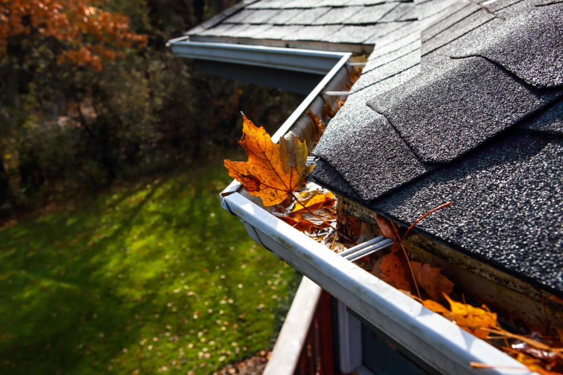 Autumn leaves in a rain gutter on a roof