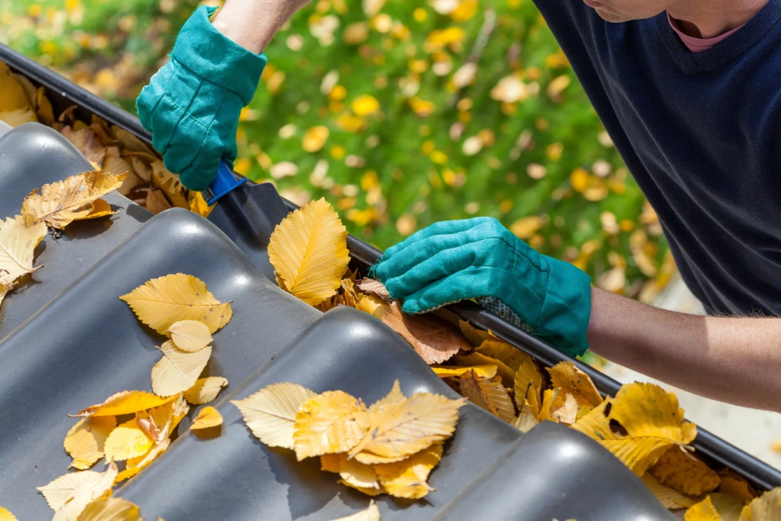 Homeowner cleaning fall leaves from gutter