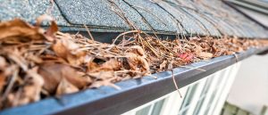 Does Leaf Filter Work With Pine Needles